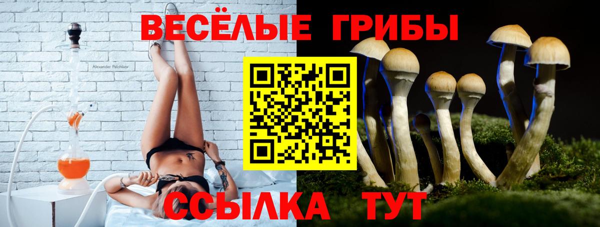Галлюциногенные грибы мицелий Курган